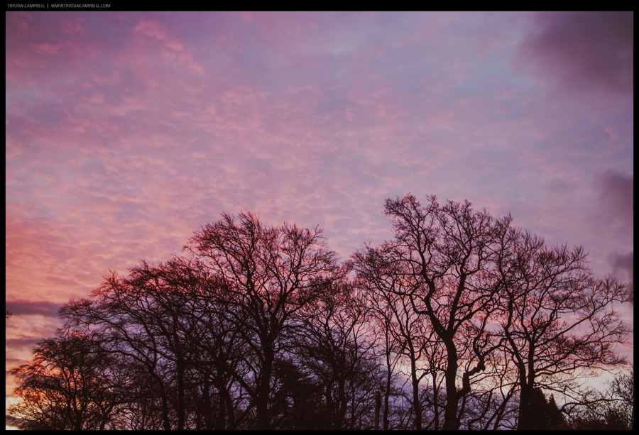 Journal — 7th December 2013