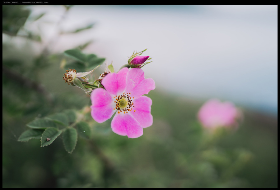 Journal — 29th June 2023
