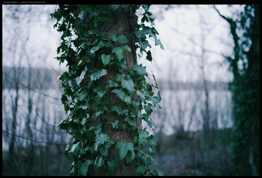 Journal — 1st February 2023