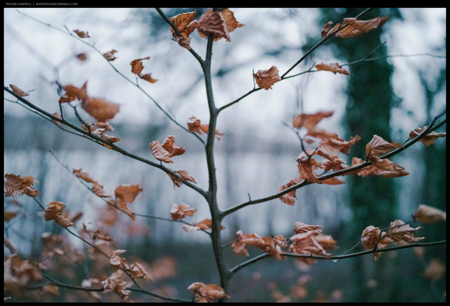 Journal — 1st February 2023