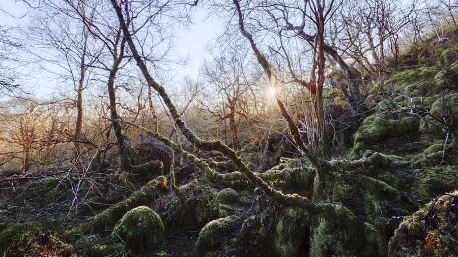 Journal — 19th March 2023