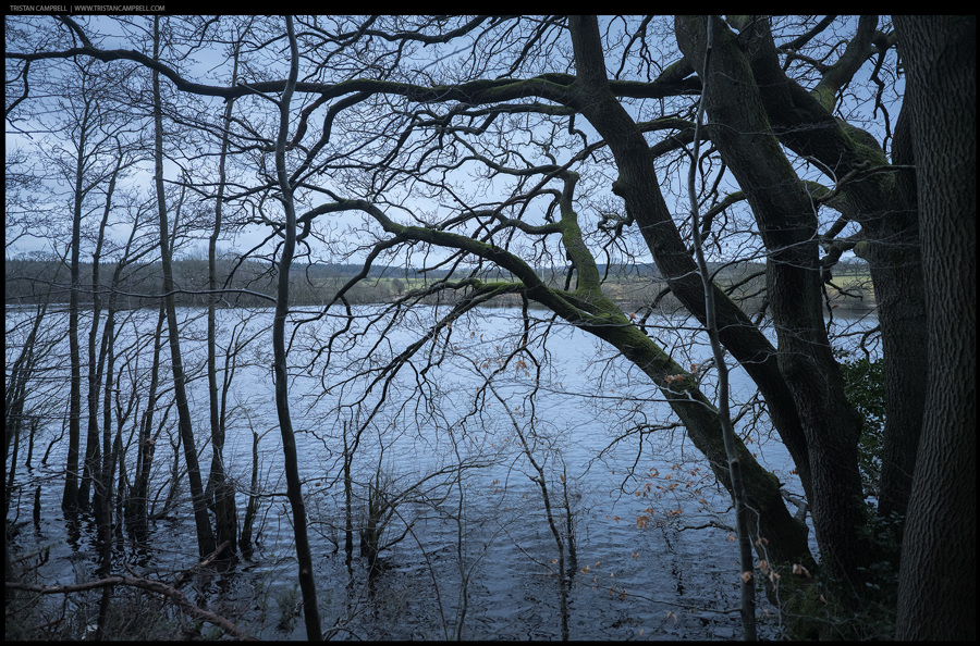 Journal — 20th February 2025