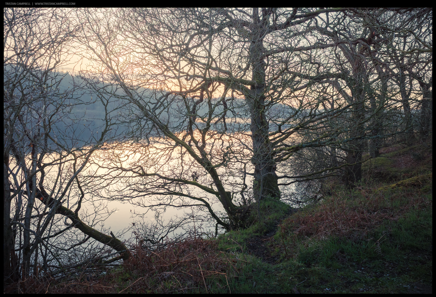 Journal — 8th April 2026