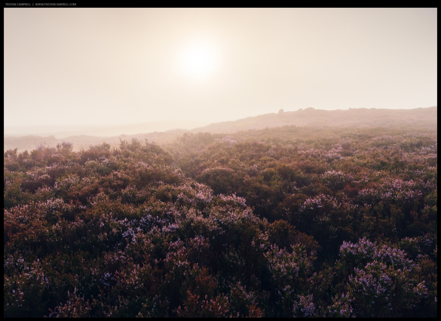 Journal — 11th August 2024