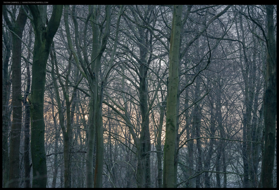 Journal — 13th April 2022