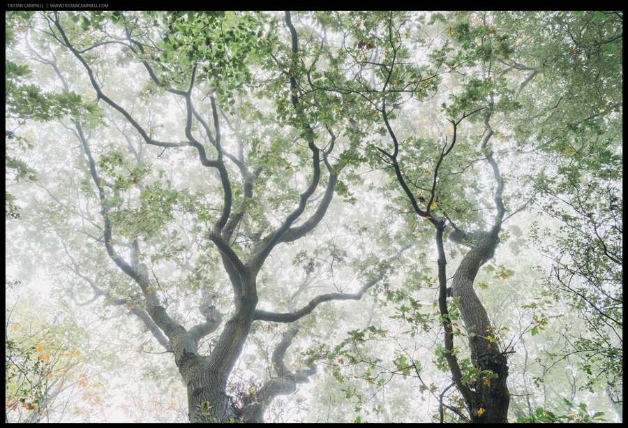 Journal — 27th October 2023