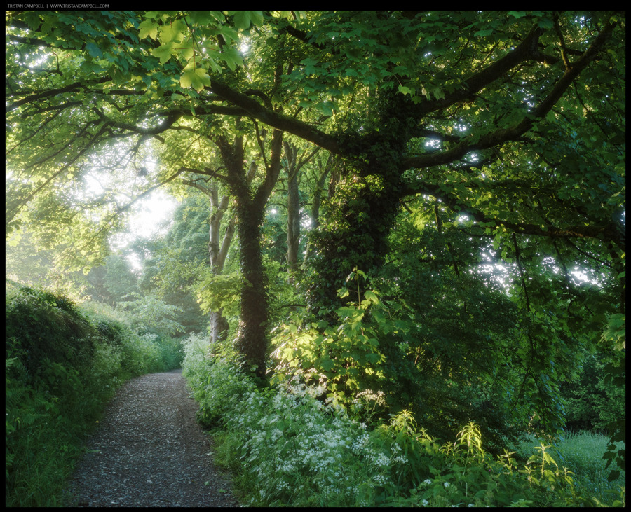 Journal — 6th June 2024