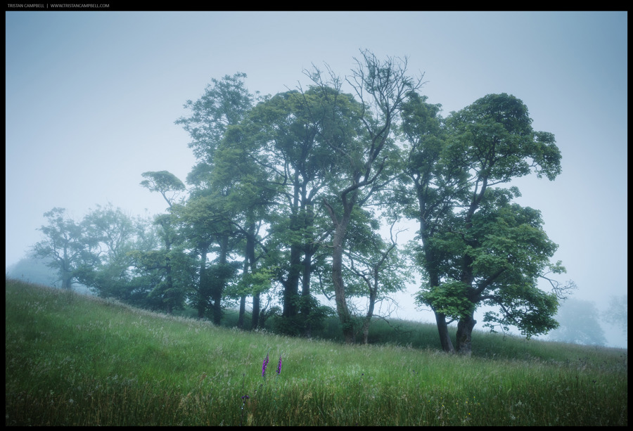 Journal — 26th June 2024