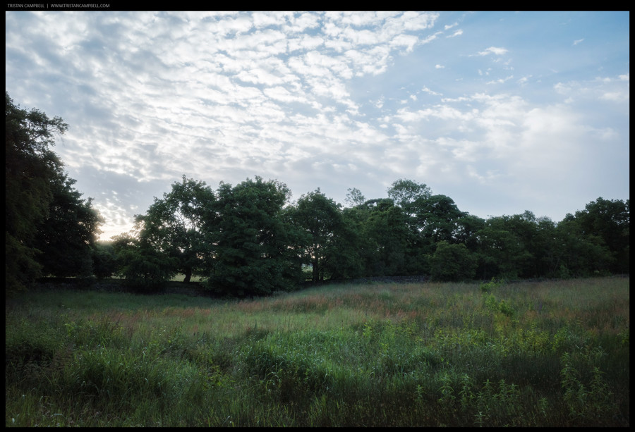 Journal — 18th June 2024