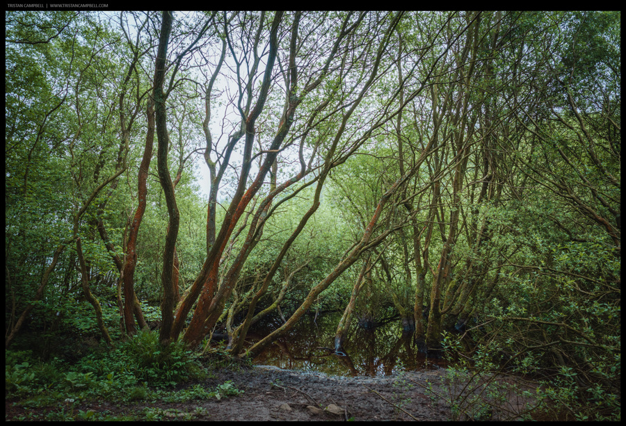 Journal — 16th May 2024