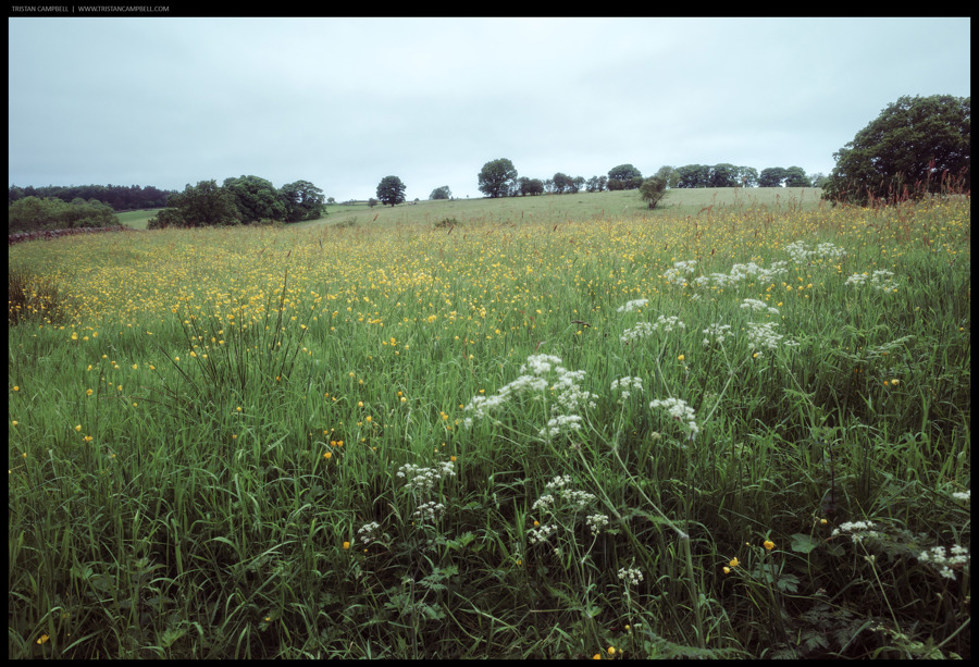 Journal — 4th June 2024
