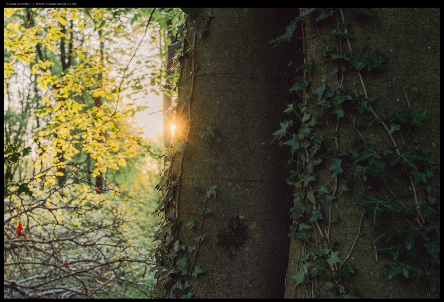 Journal — 16th May 2023
