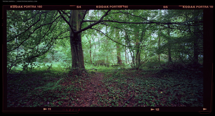 Journal — 23rd August 2011