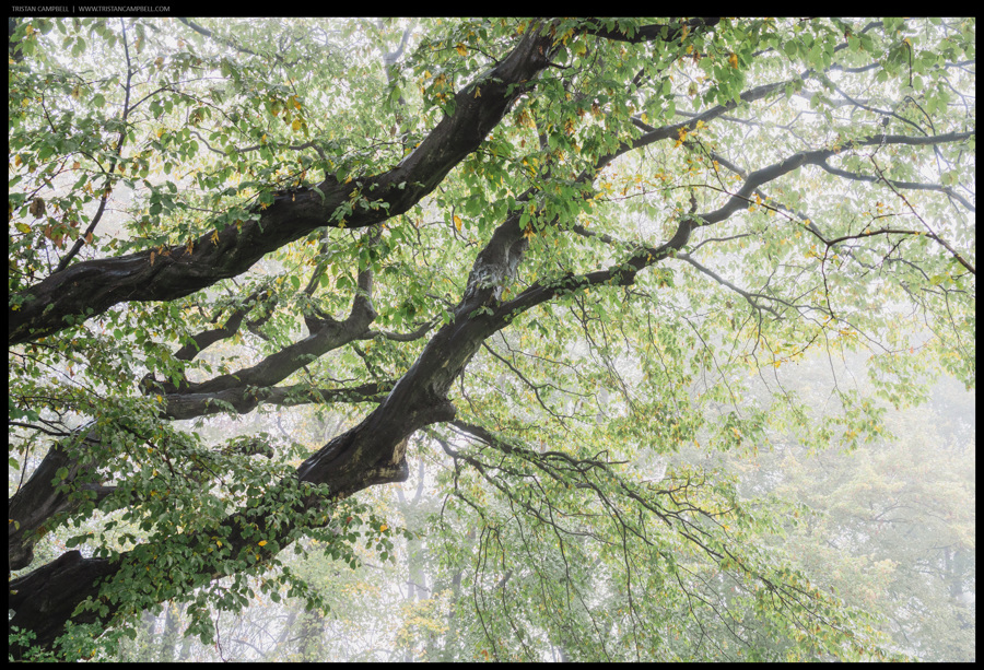 Journal — 27th October 2023