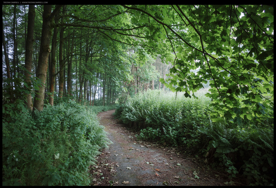 Journal — 26th June 2024