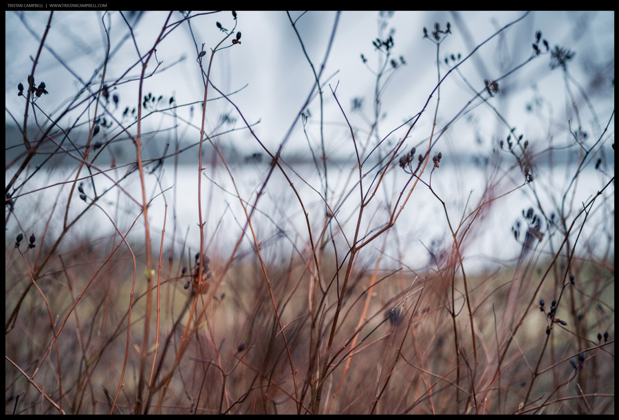 Journal — 2nd February 2023
