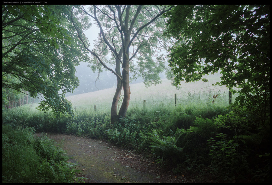 Journal — 26th June 2024