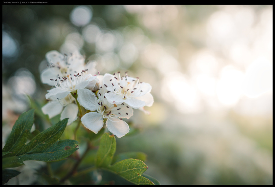 Journal — 21st May 2024