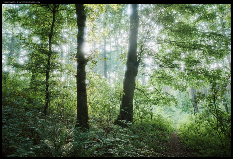 Journal — 6th June 2024
