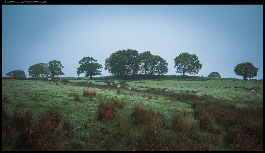 Journal — 16th May 2024