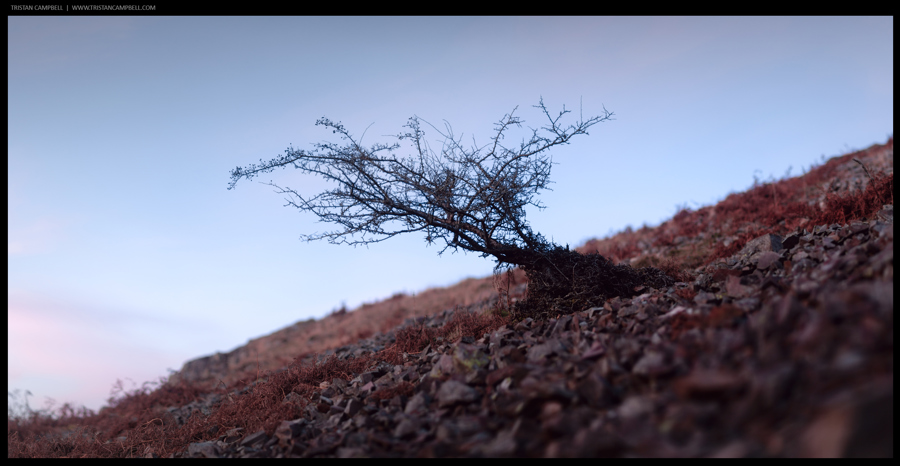 Journal — 1st December 2013