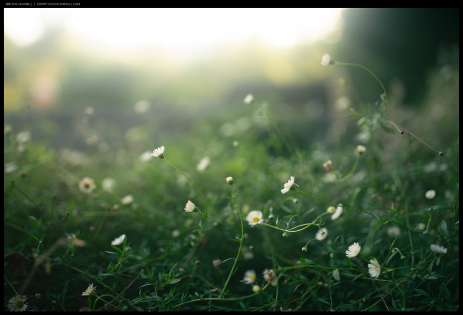 Journal — 23rd August 2019