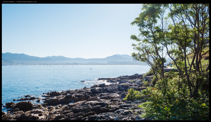 Journal — 23rd July 2024
