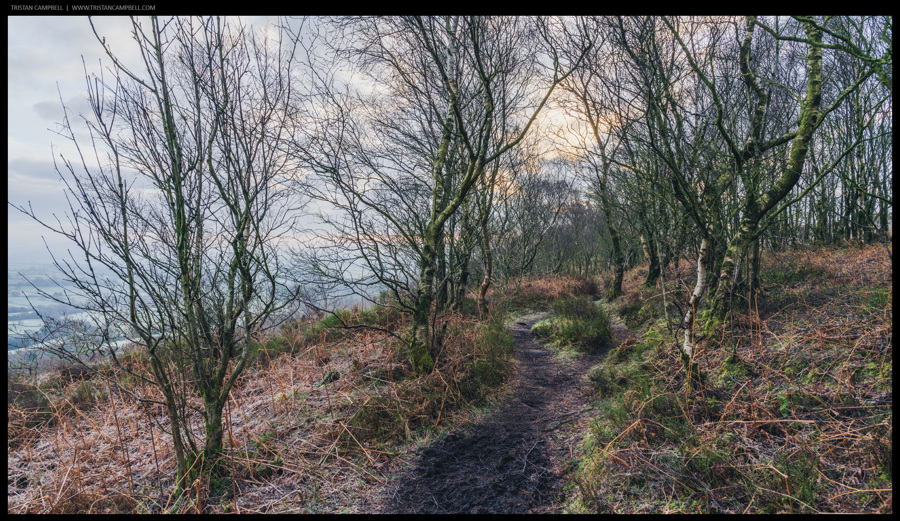 Journal — 25th February 2024