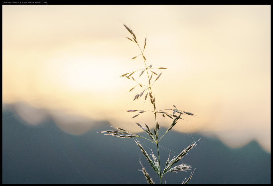 Journal — 20th June 2023