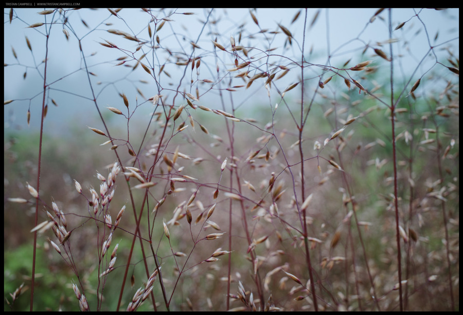 Journal — 26th June 2024