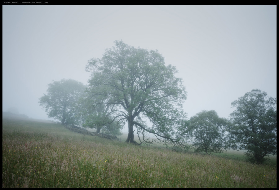 Journal — 26th June 2024