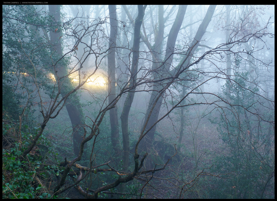 Journal — 12th January 2018