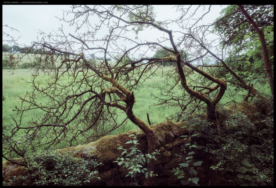 Journal — 4th June 2024