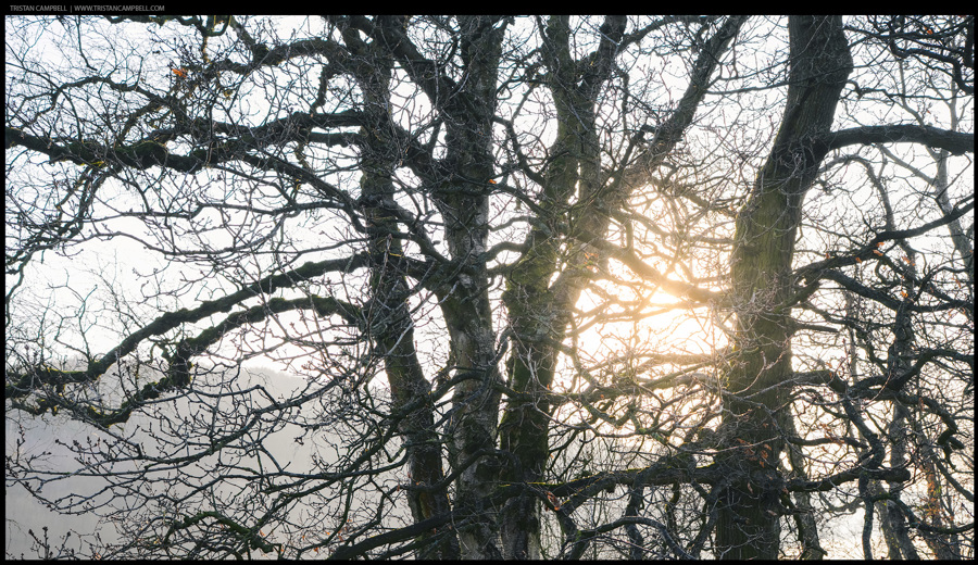 Journal — 24th March 2025