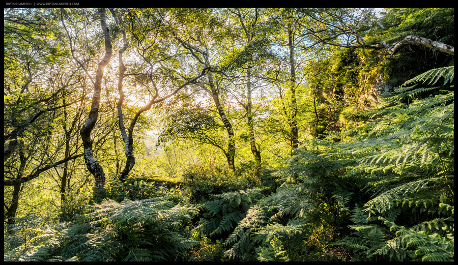 Journal — 30th June 2024