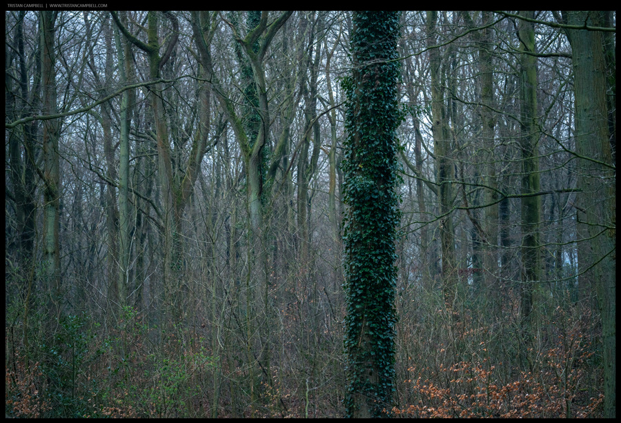 Journal — 13th April 2022
