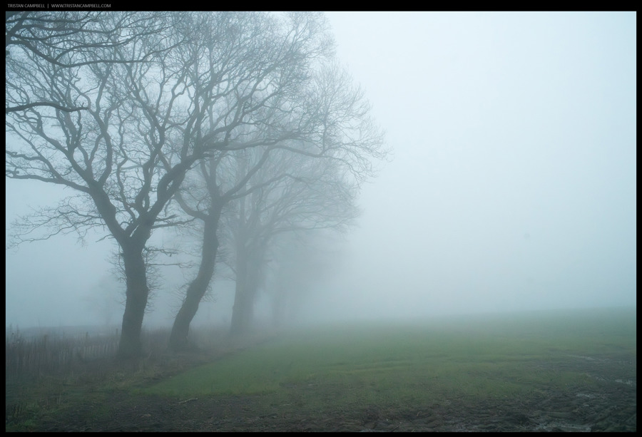 Journal — 12th January 2018