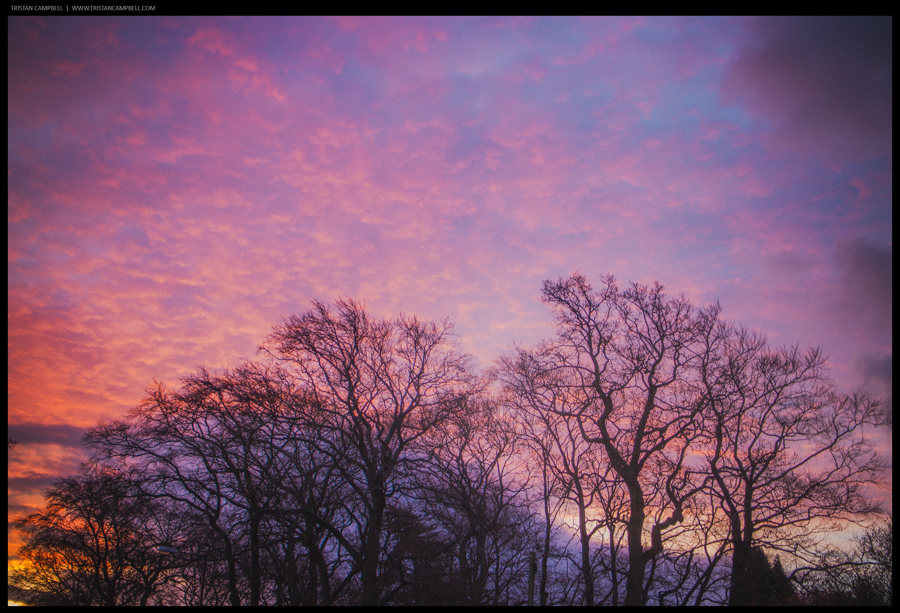 Journal — 7th December 2013
