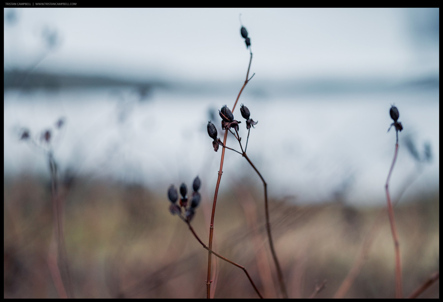 Journal — 2nd February 2023