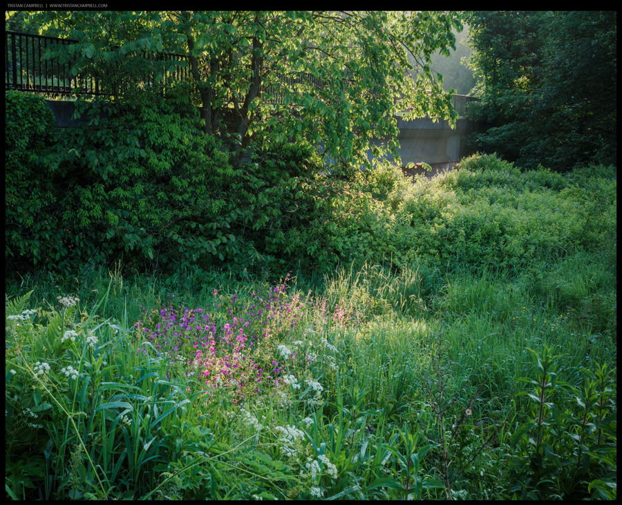 Journal — 6th June 2024
