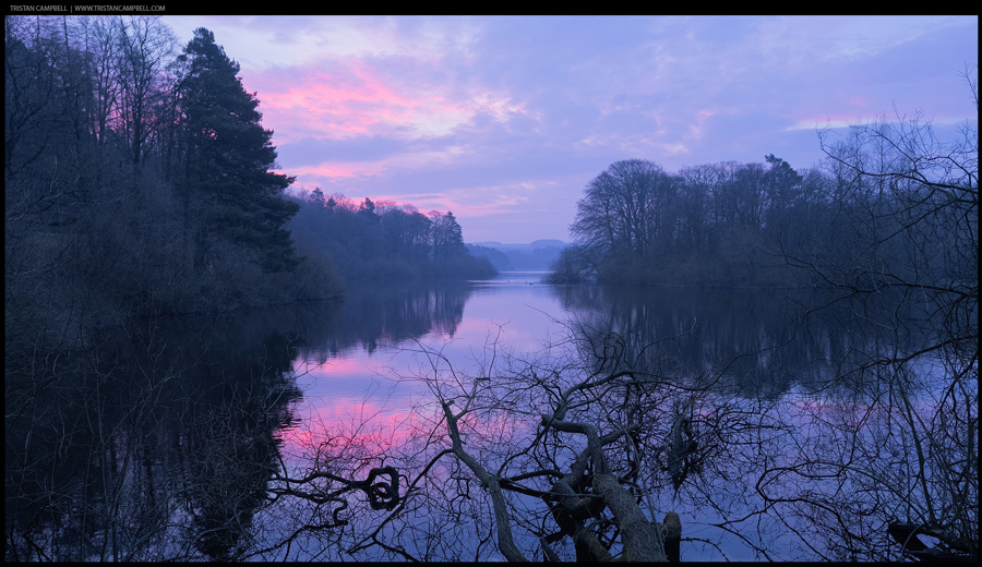 Journal — 19th February 2025